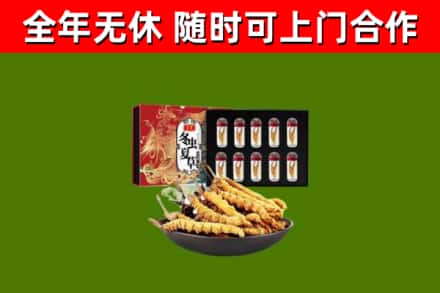 桐城市回收冬虫夏草价格